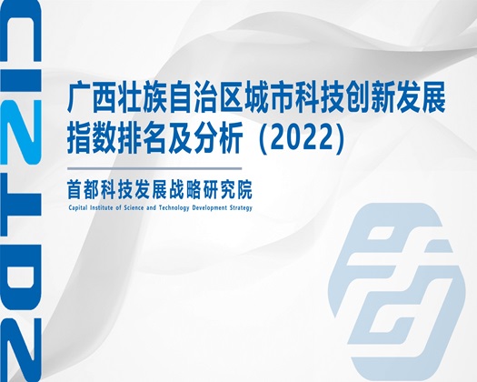 骚鸡巴操骚逼乱伦视频【成果发布】广西壮族自治区城市科技创新发展指数排名及分析（2022）